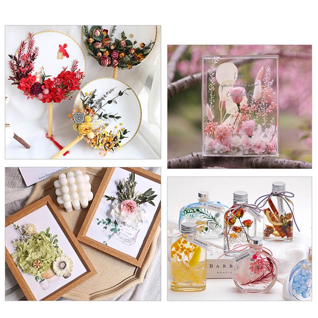 Dried Flower Material Set Dried Flower Package Flower Arranging Supplies for DIY