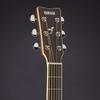 Yamaha Yamaha acoustic guitar FS830TBS