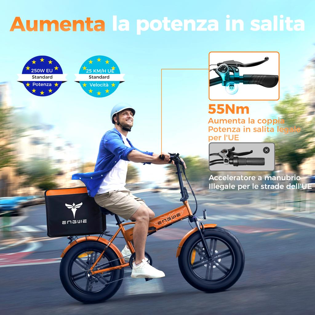 ENGWEI EP-2 Boost Elektrofahrrad 250W Motor 48V13AH Abnehmbarer Akku E-Bike 20 Zoll Fettreifen All Terrain Faltbares Elektrofahrrad