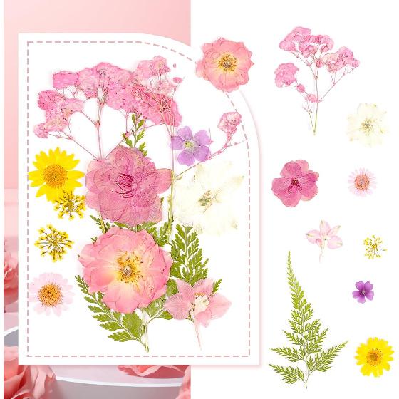 Pressed Flowers Bulk Dried Flowers for Crafts,Real Natural Pressed Flowers Dry Leaves Kit for Crafts Resin Mold Jewelry Candle Soap Making