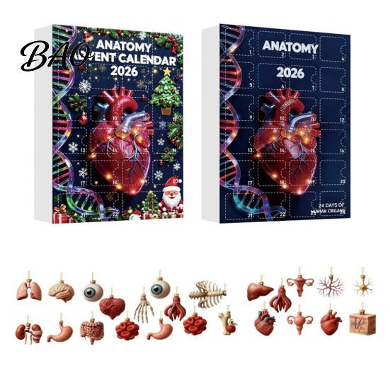 Geschenke für Medizinstudenten 2026 Anatomie Adventskalender, 24-tägiges Körperorgan-Schmuckset, Sammlerstücke für Anatomie-Enthusiasten Hängedeko für
