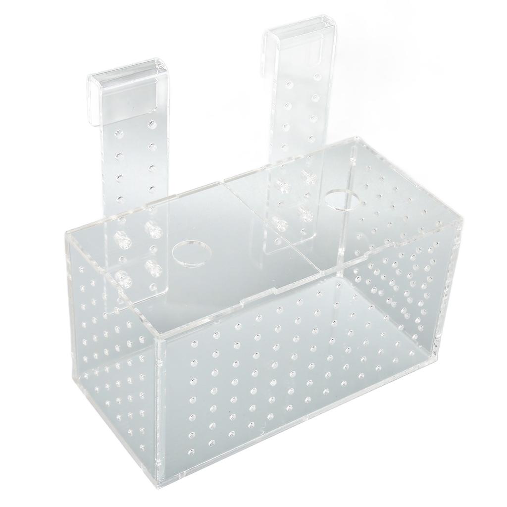 Fish Breeding Isolation Box Transparent Hook Installation Acrylic Aquarium Hatchery for Fish Tank