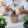 Biodegradable Plant Pots Eco Pulp Seed Starter Cups Flowers Breathable Root Growth Round Square Home Planting Gardening Supply