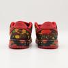 FZ1236-600 The Wizard of Oz Nike SB PS Dunk Low Poppy Field (Kids)