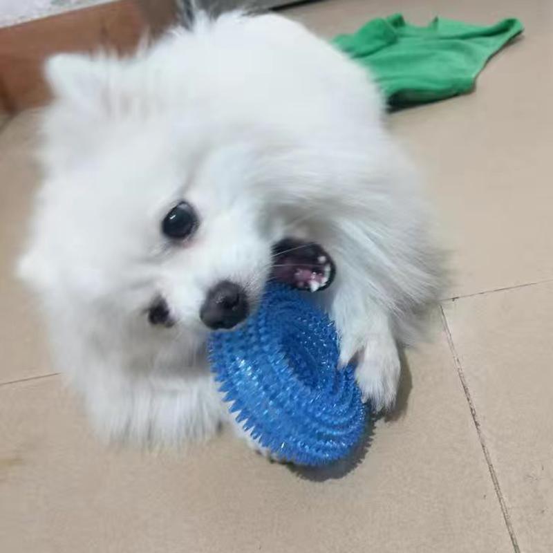 Strong Donut TPR Pet Dog Chew Toys with Squeak for Small Medium Dogs French Bulldog Corgi Border Shepherd Puppy Pets Accessories