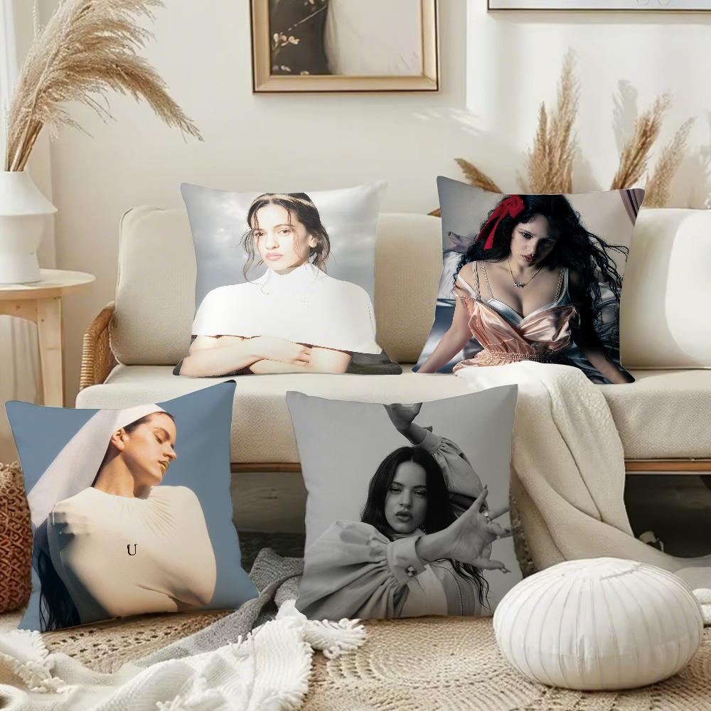 Singer R-Rosalia Lux Pillow Case Square Double-Sided Printing Short Plush Sofa Cushion Cover Bedroom Bedside Pillow