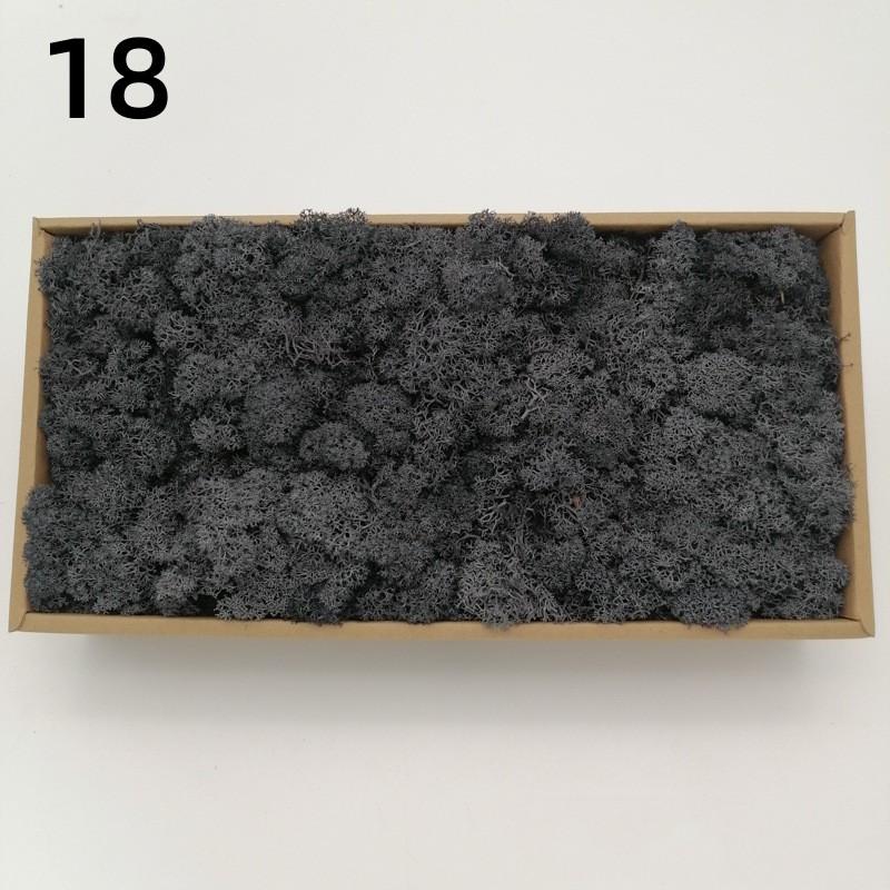 Neue 50/30/10g Künstliche Grüne Pflanzen Ewiges Leben Moos Gras Heim Garten Dekoration Mini Landschaft Künstliche Blume DIY Bastelgeschenke