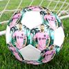 Poster Lionel Messi formato 5 Pallone da Calcio, colorato, adatto a tutte le età, cucito a macchina, materiale PVC, qualità da competizione, durevole e ad alto rimbalzo
