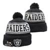 Lion Rugby Knit Hat, Dolphin Outdoor Warm Sun Hat, 49ers Hip Hop Ear Protection Hat