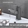 Robinet de salle de bain extractible en acier inoxydable TLXT