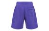 Jordan Air Jordan X Wordmark Casual Shorts Men's Purple DV6468-514