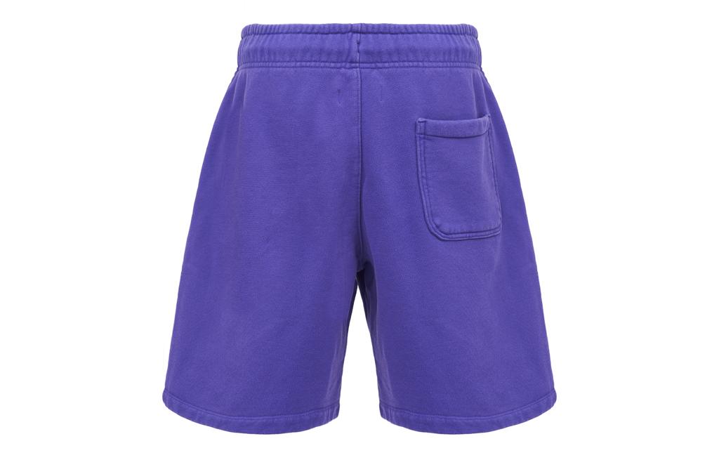Jordan Air Jordan X Wordmark Casual Shorts Men's Purple DV6468-514
