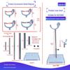 BJD Doll Stand: Transparent Acrylic, Adjustable Height for 6-12 inch Dolls