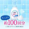 Biore U Foaming Body Wash Pump 600ml