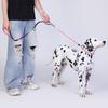Leashes Pet Dog Choking Rope Leash Collar P-Shaped Chain Slip Lead Control Leash for Small Large Competition Dogs