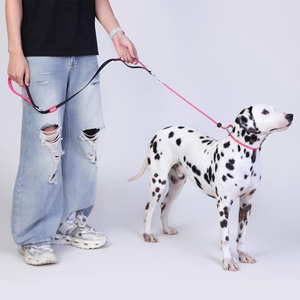 Leashes Pet Dog Choking Rope Leash Collar P-Shaped Chain Slip Lead Control Leash for Small Large Competition Dogs