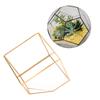 Gold Geometrische Form Sukkulenten Pflanze Blumentopf Glas Pflanzgefäß Landschaft Heim Tischdekoration