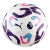 Puma Premier League Minifußball