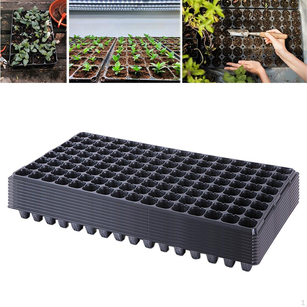 10 Children's Seed Trays with Holes