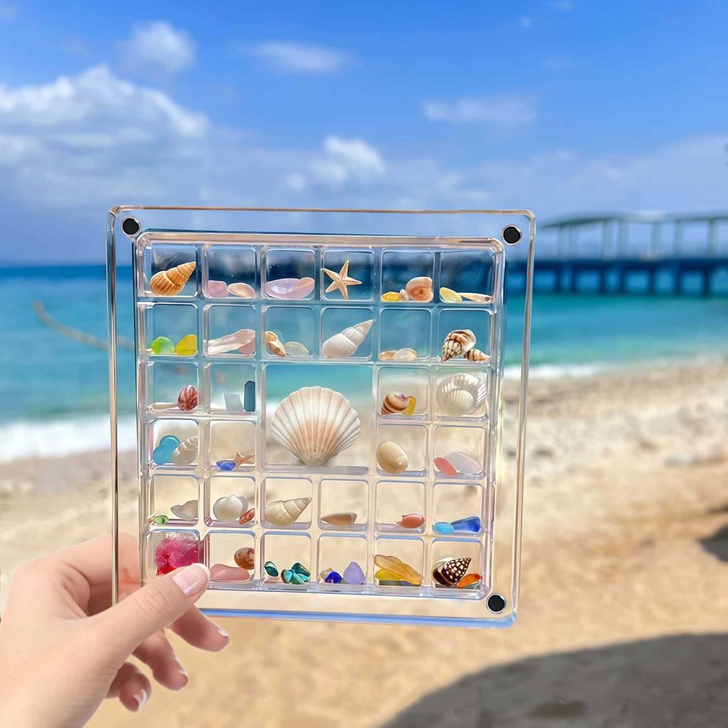 36grids Magnetic Shell Display Box Acrylic Specimen Storage Case Starfish Seaside Stone Container Suitable for Daily Collection