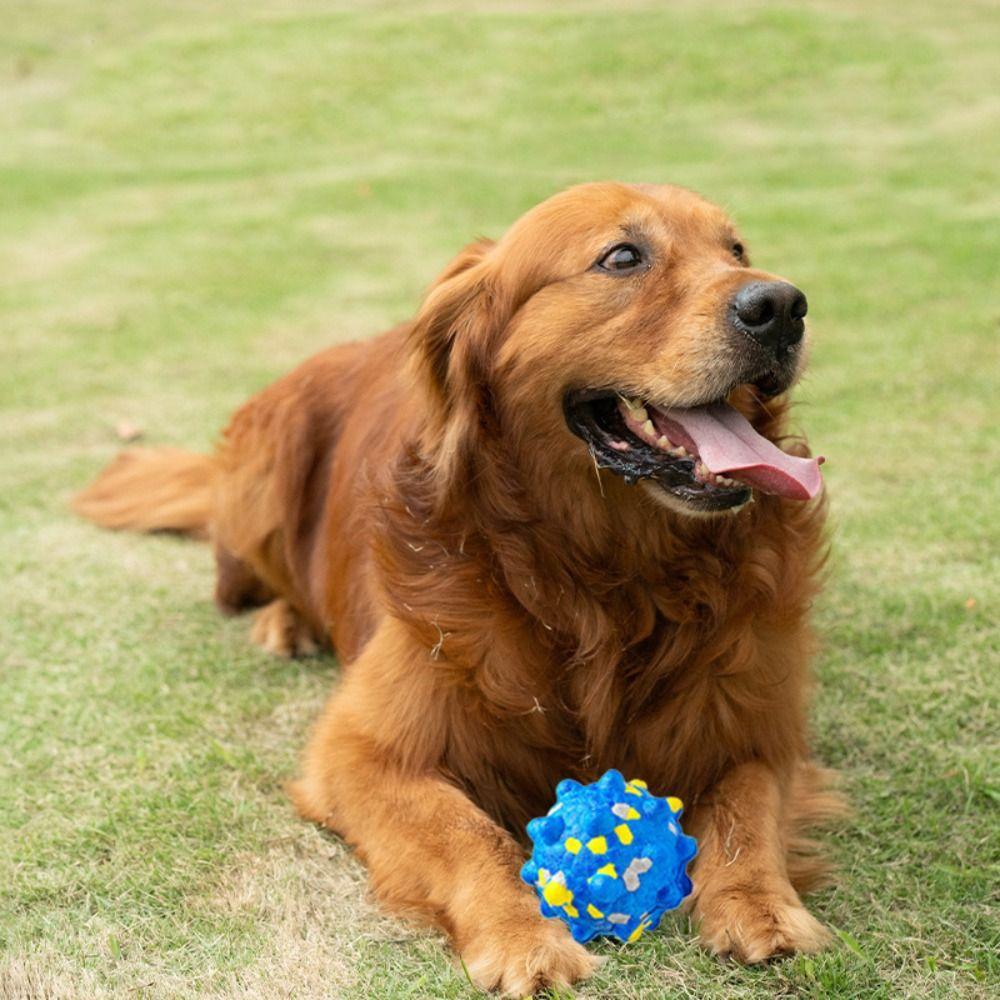 Durable Pet Toy Ball High Elasticity Dogs Bouncing Ball Toy Pet Supplies Dog Chew Toy  Puppy