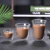 Double-Layer Insulated Glass Cup - Coffee, Milk & Water Transparent Cup
