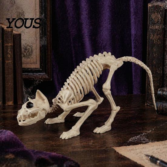 Decoración Duradera de Esqueleto de Halloween Esqueleto de Animal, Pez Pájaro Araña Serpiente Gato Realista Modelo de Calavera Reutilizable para Fiesta, Casa Embrujada, Escena de Cementerio