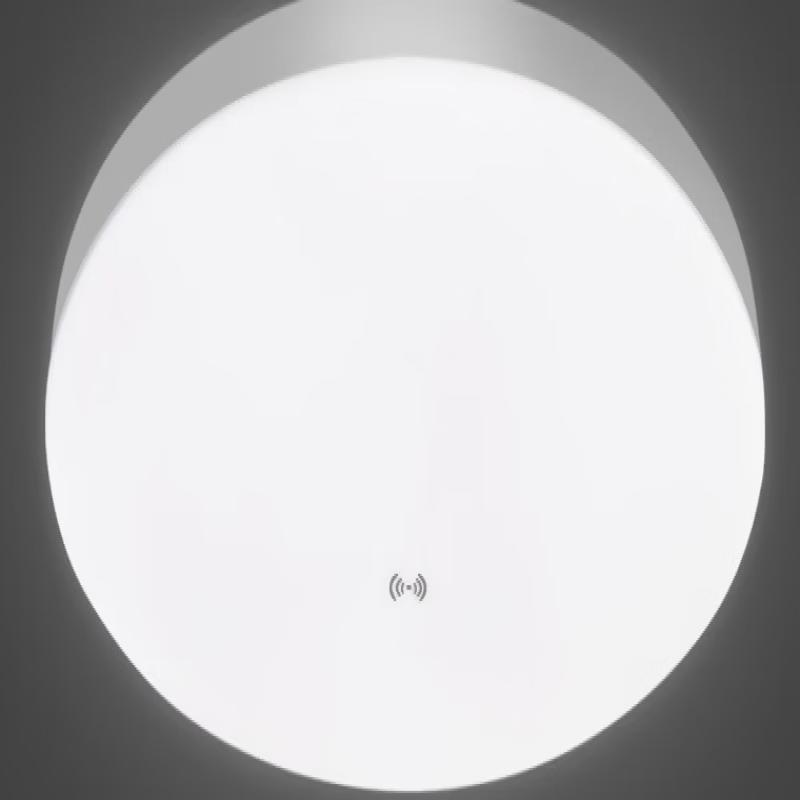 OEING Motion Sensor LED Ceiling Light (Pack of 2)