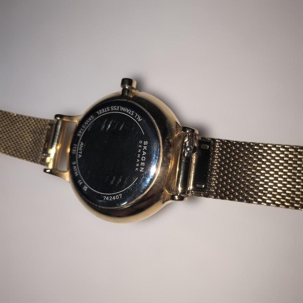 Used SKAGEN ANITA LILLE SKW3145 Ladies Fashion Watch