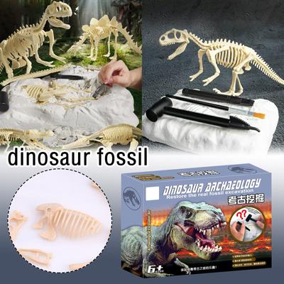 Dinosaurier-Ausgrabungsset | Kreatives Dinosaurier-Ausgrabungsset, Ausgrabungs-Aktivitätsset, Geschenk für Jungen und Mädchen