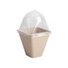 8 cm Square Seedling Cup with Ventilation Lid and Center Hole for Pruning