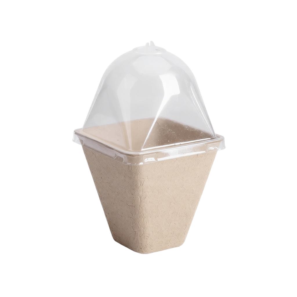 8 cm Square Seedling Cup with Ventilation Lid and Center Hole for Pruning