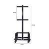 Mobile Barbell Plate and Olympic Bar Storage Rack for Home Fitness