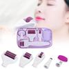 Roller 6 Derma In 1 Titanium Micro Needle Anti Ageing Facial Skin Care Tool Set