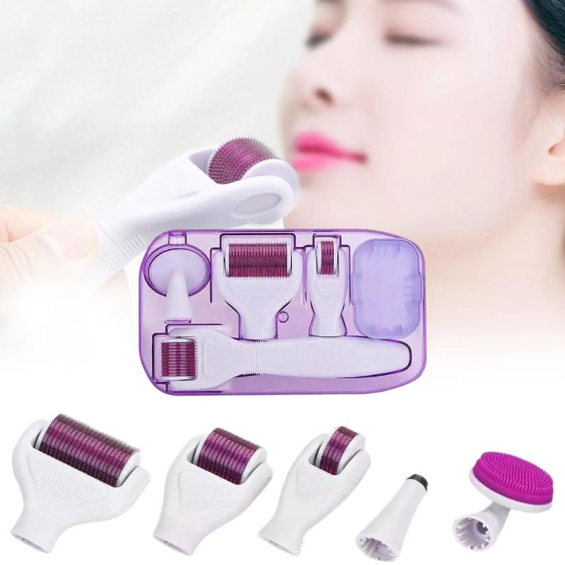 Roller 6 Derma In 1 Titanium Micro Needle Anti Ageing Facial Skin Care Tool Set