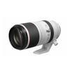 Canon RF 100-500mm F4.5-7.1 L IS USM Super Telephoto Zoom Lens