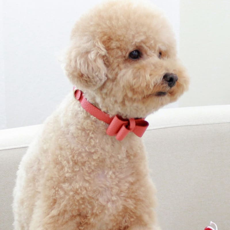 MAISON DE MIU Soft Ribbon Necklace Coral