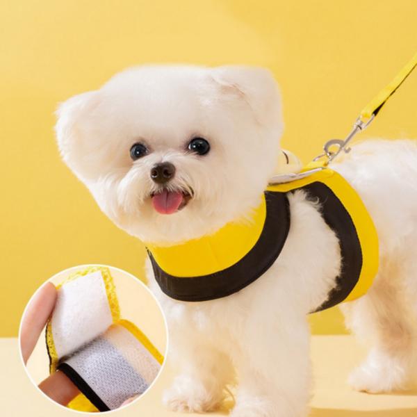 Katzen Geschirr Hund M Leine Kleidung Set, Gelb