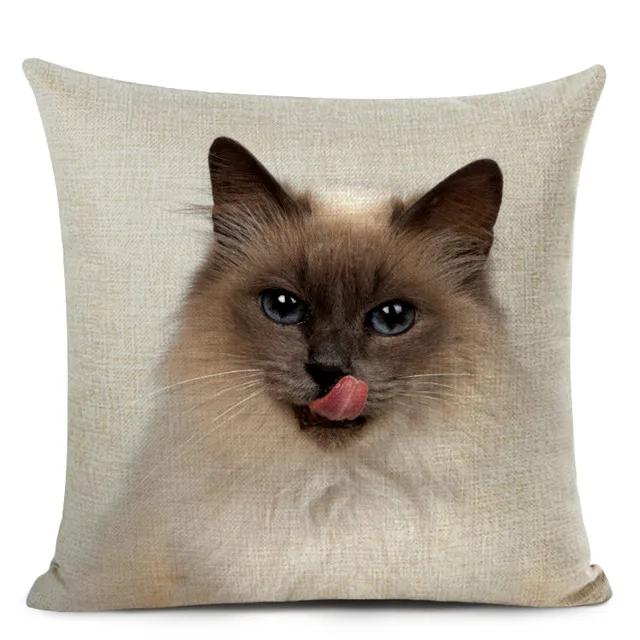 Haustier Katze Print Wurf Kissenbezug Niedliche Kurzhaar Dekorative Kissenbezug für Wohnkultur