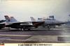 Hasegawa Tomcat Red Rippers 1/72 F-14D VF-11