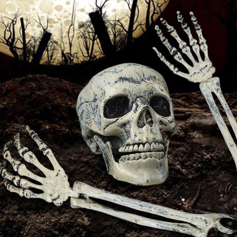 Halloween Realistic Skull Skeleton Head Human Hand Arms for Halloween Party Home Garden Lawn Decor Haunted House Horror Props