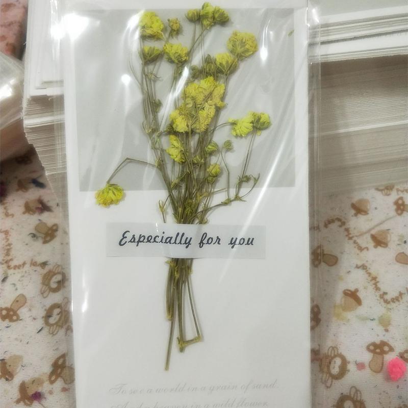Thank You Card Mother's Day Greeting Card Dried Flower Handwritten Blessing Starry Sky 5PC Goddess Festival