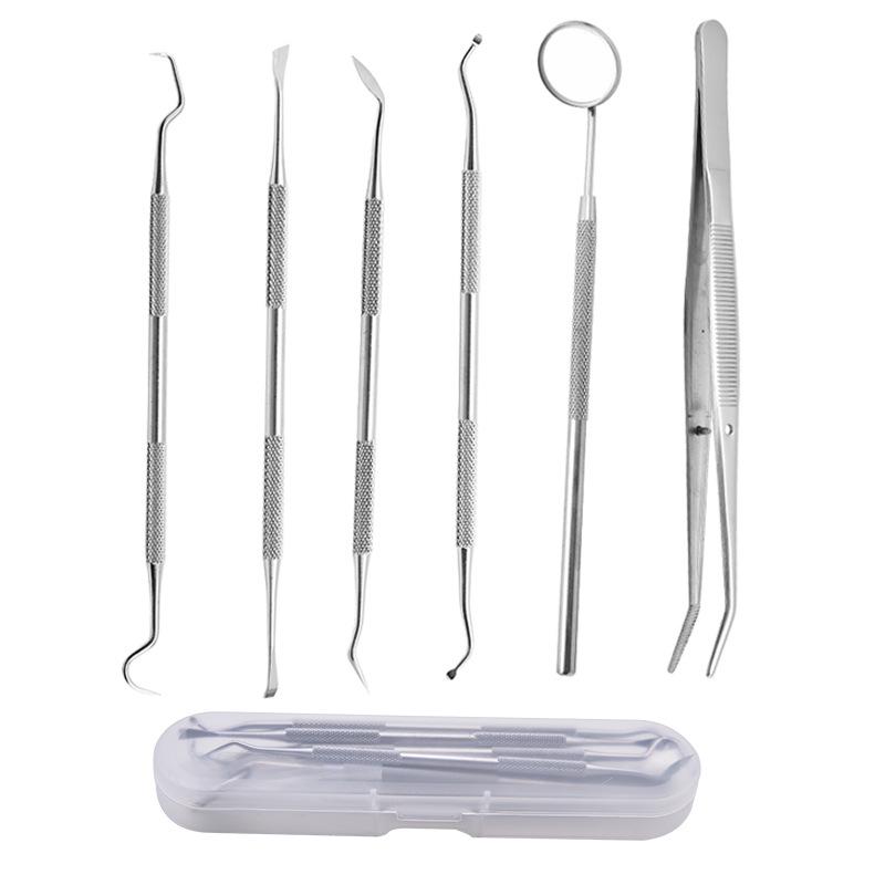 Stainless Steel 6-Piece Oral Care Set: Teeth Cleaning & Tartar Removal Tools