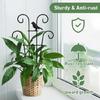 Garden Stake Removable Obelisk Support for Climbing Plant Trellis Height Suitable for Various Climbing Plant