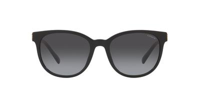 Sunglasses HC8350U CD478 50028G BLACK 54 [Coach] Women's