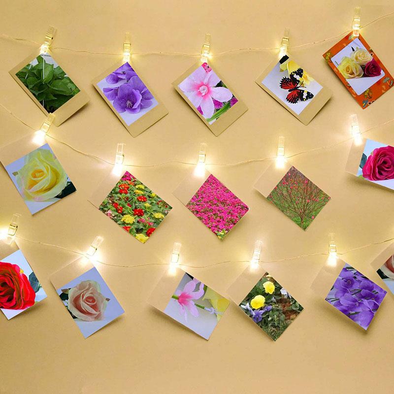100/50PCS Plastic Mini Photo Clips Transparent Spring Hanging Clip Pegs for DIY Wedding Party Wall Home Decoration Photo Clamps