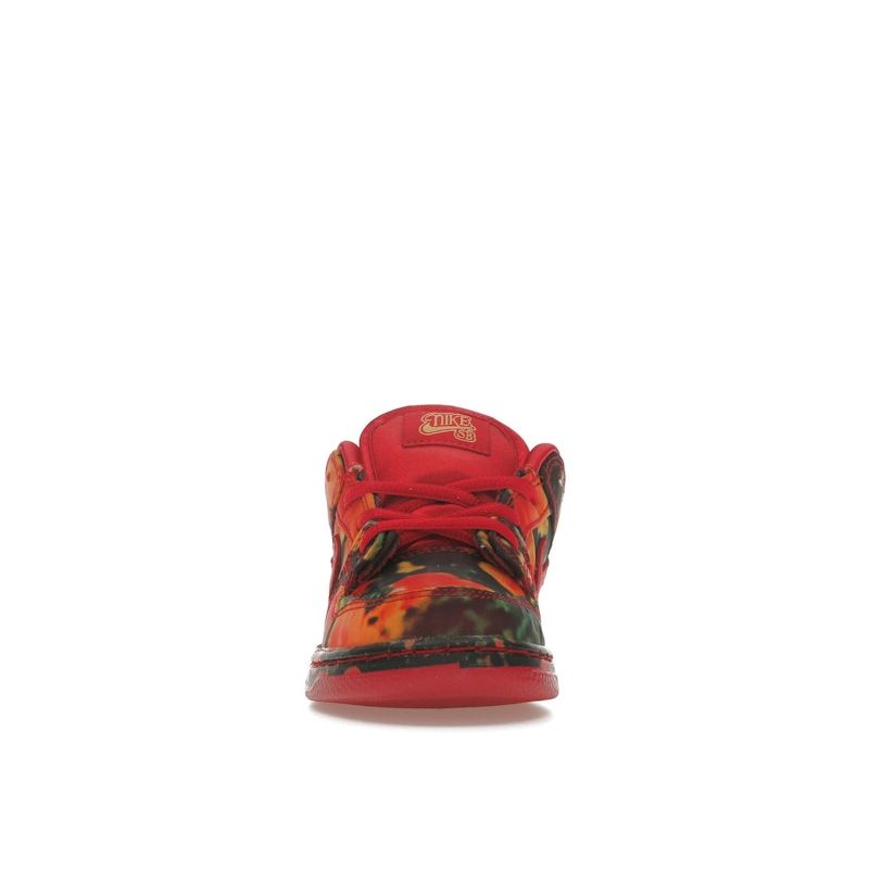 Nike The Wizard of Oz X Dunk Low SB TD Poppy Field Baby Sneakers Red Varsity-Red University-Gold FZ1237-600
