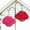 Frühlings-Begonie Geranie Hängekorb: Künstliche Outdoor-Blumendekoration