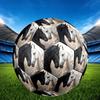1pc Horse Affection Fantasy Theme Soccer Ball Football, Size 5, Lightweight PVC, Durable Outdoor Training Soccer Ball, Gift M61447