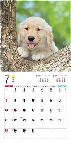 2024 Calendar Golden Retriever (Seibundo Shinkosha Calendar)